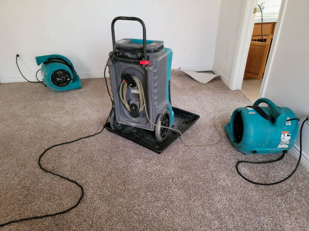  Moodys, OK Water damage restoration Pros